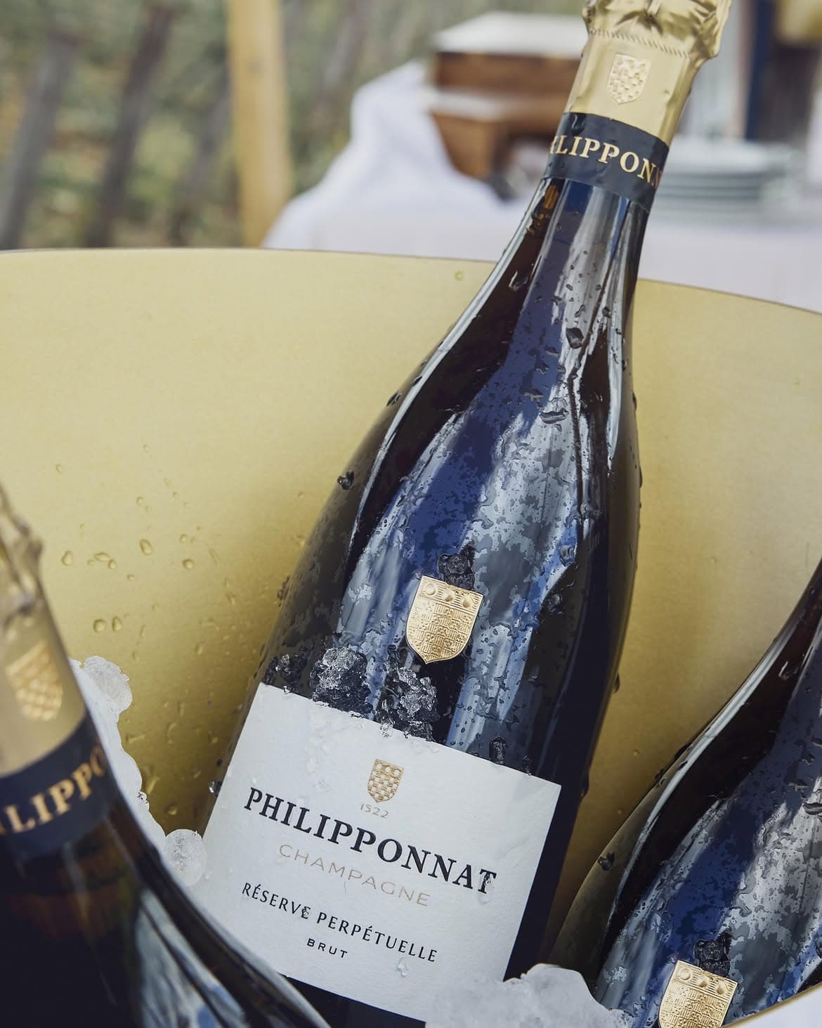 Champagne Philipponnat Réserve Perpétuelle